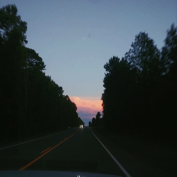 Meet your Posher, Bailey - Picture 1 of 1